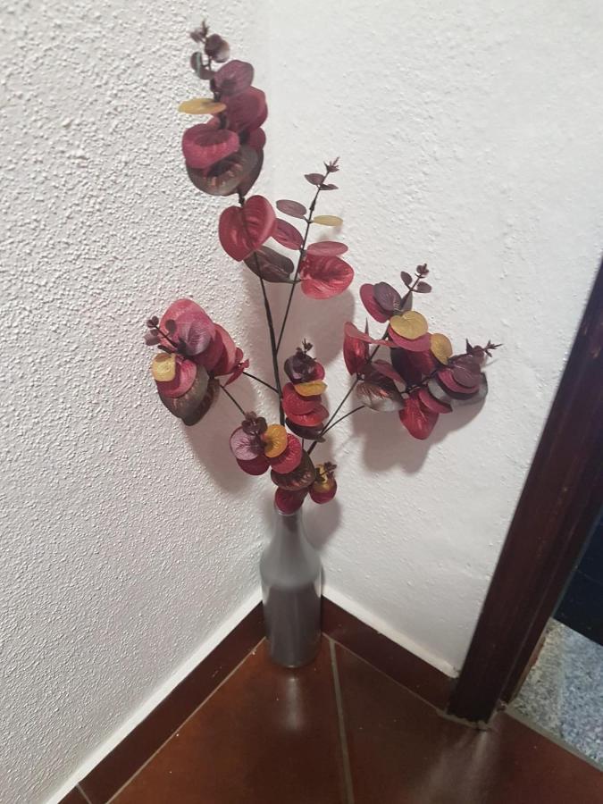 Villa Casa Dos Avos E Netos Fundão Esterno foto